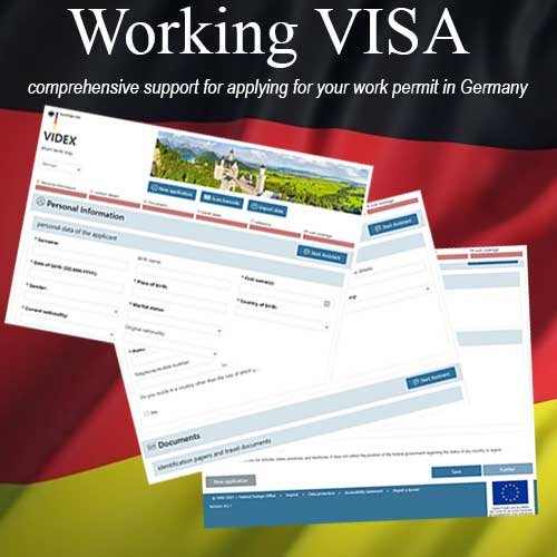 (Working Visa Service)